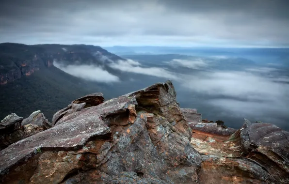 Картинка australia, mist, Blue Mountains