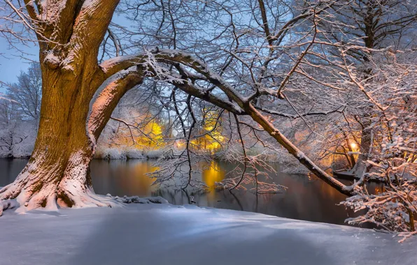 Картинка зима, снег, пейзаж, природа, дерево, освещение, сумерки, водоём