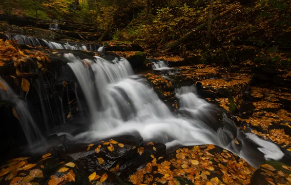 Картинка осень, листья, камни, листва, водопад, поток, желтые, каскад