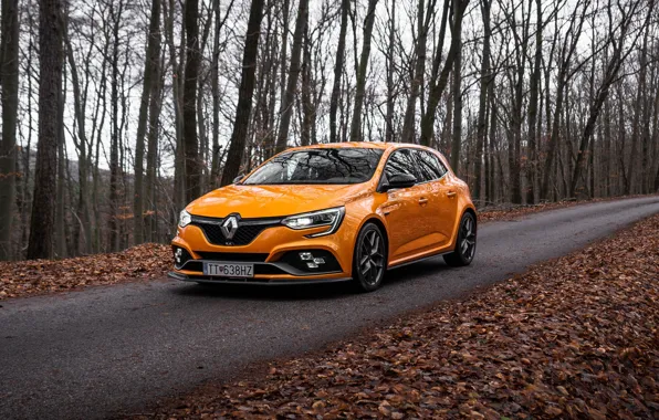 Картинка Renault, Front, Autumn, Yellow, Road, Megane, Forest, Megane RS