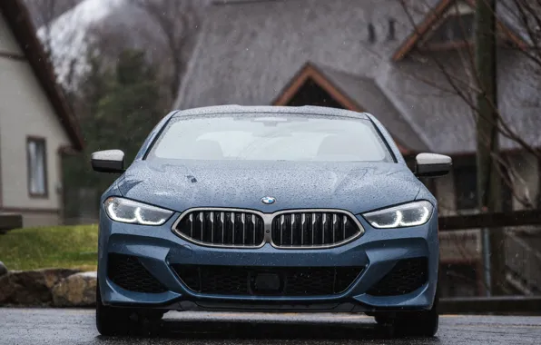 Картинка купе, BMW, 2018, сырость, 8-Series, 2019, бледно-синий, M850i xDrive, 8er, G15