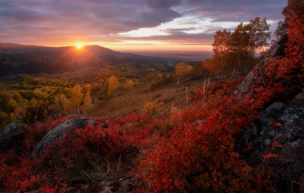Картинка осень, солнце, лучи, деревья, пейзаж, закат, горы, природа, камни, Алтай, Павел Силиненко