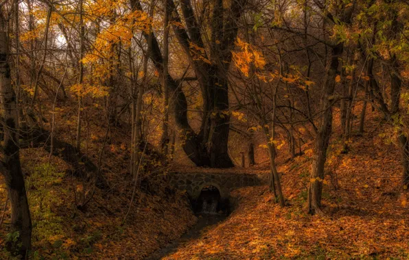 Картинка осень, лес, деревья, природа, ручей, мостик, Владимир Брагилевский