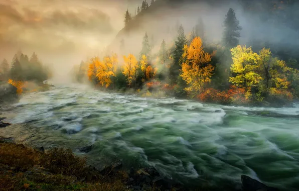 Картинка осень, деревья, туман, река, утро, Washington State, Штат Вашингтон, Wenatchee River, Река Уэнатчи