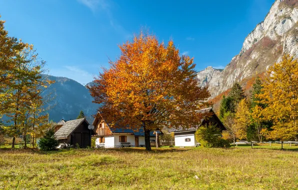 Картинка осень, лес, небо, трава, солнце, деревья, горы, скалы, домики, Словения, Bohinj