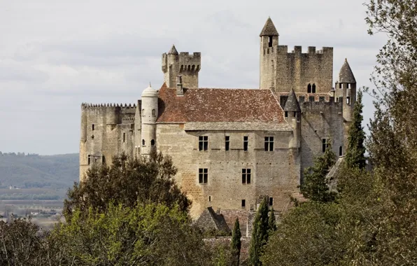 Картинка небо, деревья, Франция, средневековая архитектура, замок Бенак