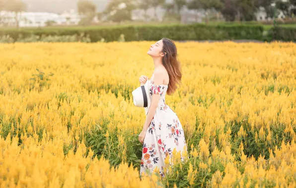 Картинка поле, девушка, цветы, природа, желтые, платье, шляпка, прогулка, азиатка