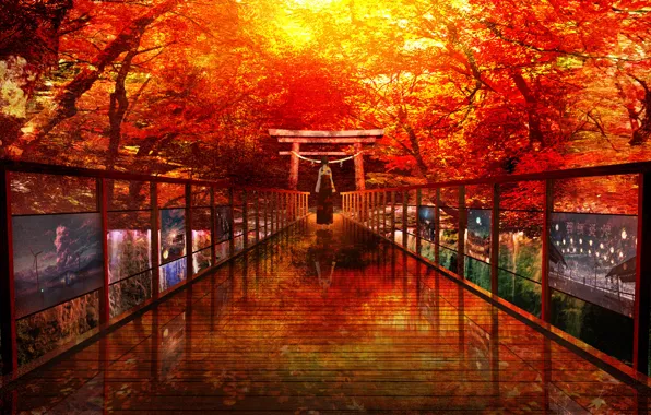 Картинка осень, девушка, деревья, мост, пейзажи, традиционная одежда, тории