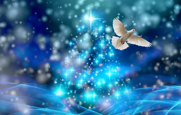 Картинка голубь, ель, Рождество, звёздочки