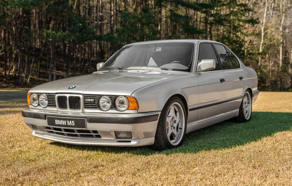 Картинка BMW, E34, 5-Series, M5