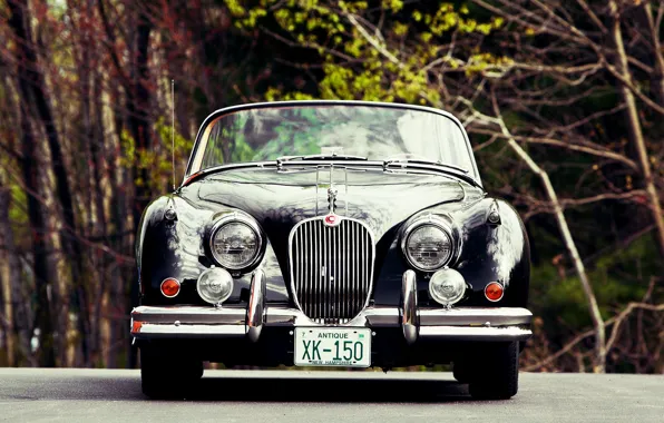 Картинка Roadster, Jaguar, Vintage, XK150