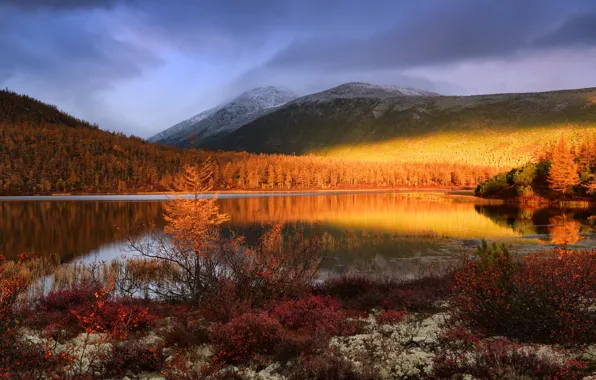 Картинка осень, пейзаж, горы, природа, растительность, леса, Колыма, Максим Евдокимов, озеро Джека Лондона