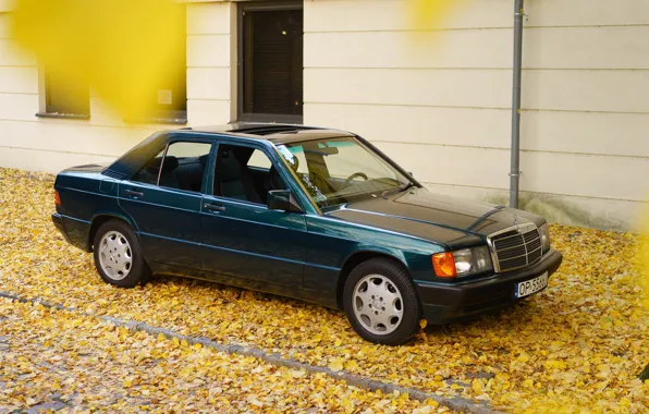 Картинка Mercedes - Benz, W201, 190E