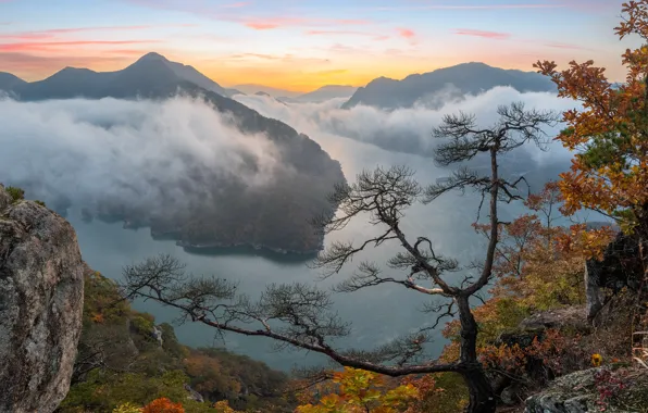 Картинка осень, облака, пейзаж, горы, природа, туман, река, растительность, Южная Корея