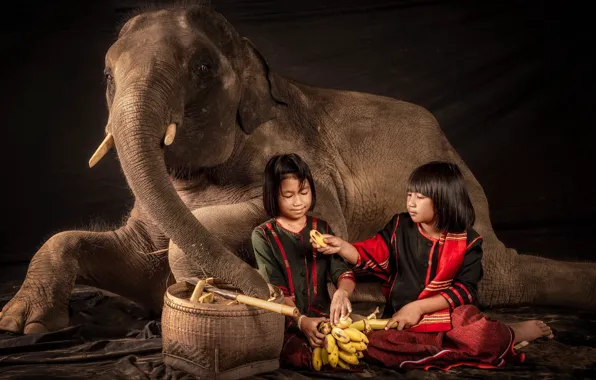 Картинка девочки, слон, ситуация, бананы