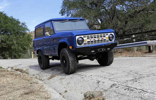 Картинка синий, Ford, 2012, Bronco, ICON BR