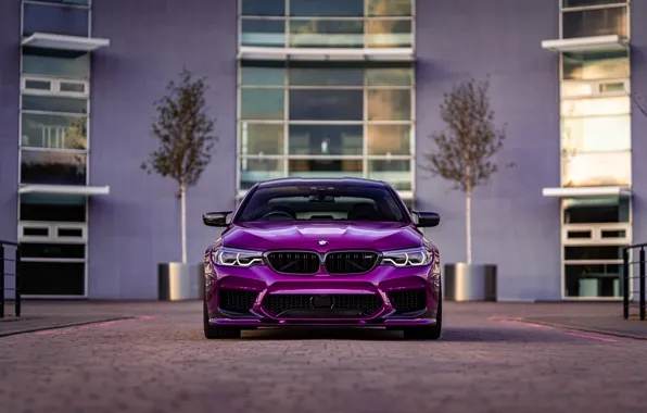 Картинка BMW, Purple, Front, Face, F90