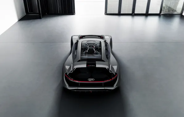 Картинка серый, Audi, вид сзади, 2018, корма, PB18 e-tron Concept