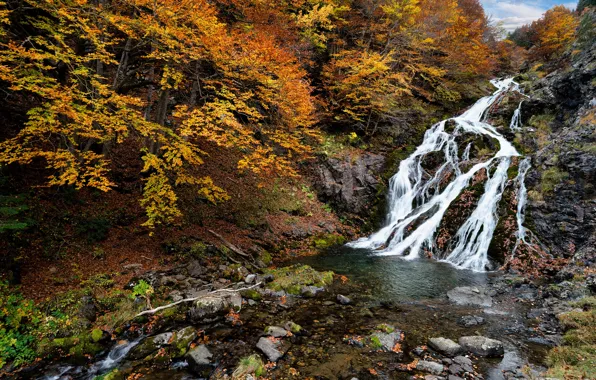 Картинка осень, листья, деревья, река, камни, водопад, Испания