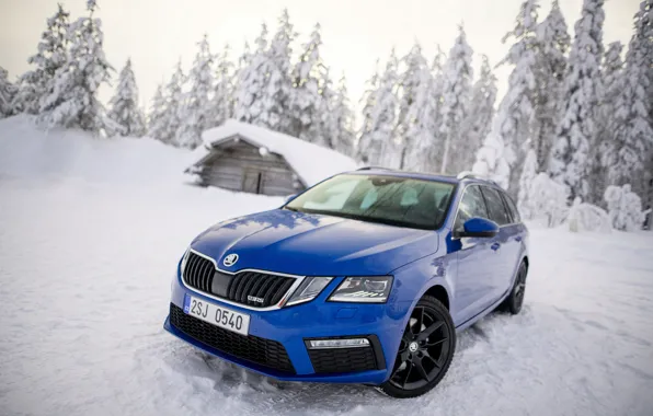 Картинка зима, снег, синий, Škoda, универсал, Skoda, 2019, Octavia Combi RS