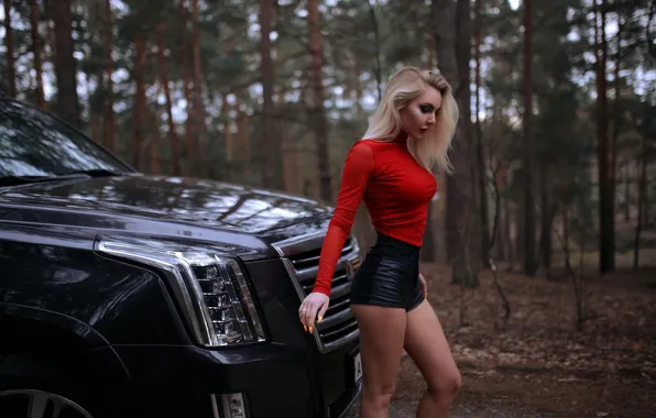 Картинка car, Cadillac, girl, forest, Model, shorts, legs, trees, breast, photo, lips, blonde, t-shirt, chest, portrait, …