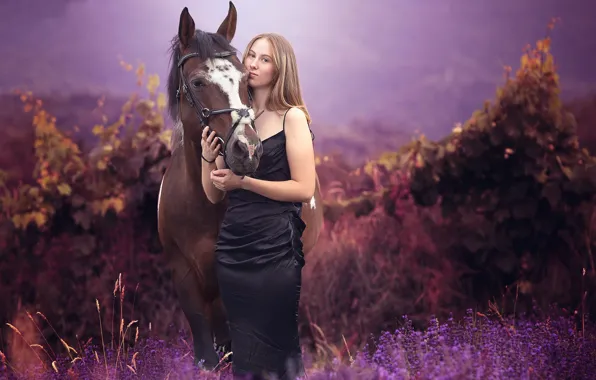 Картинка лето, девушка, конь