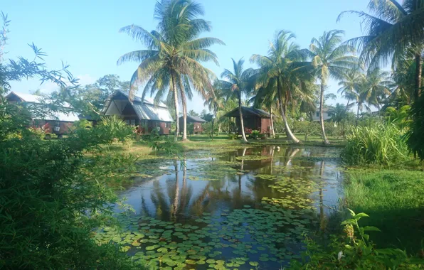 Картинка Frederiksdorp Suriname, Plantages in Suriname, Nature resorts, Plantations in Surinam
