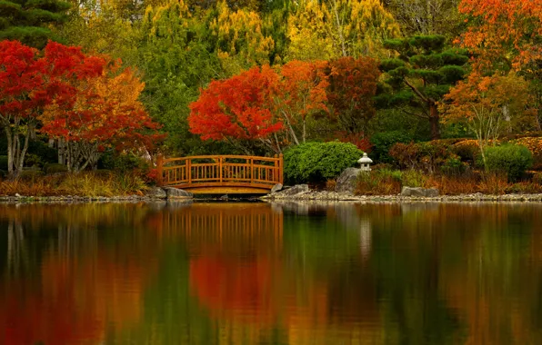 Картинка осень, деревья, мост, озеро, пруд, Орегон, Oregon, водоём, японский сад, Nissho Iwai Garden, Бивертон, Beaverton