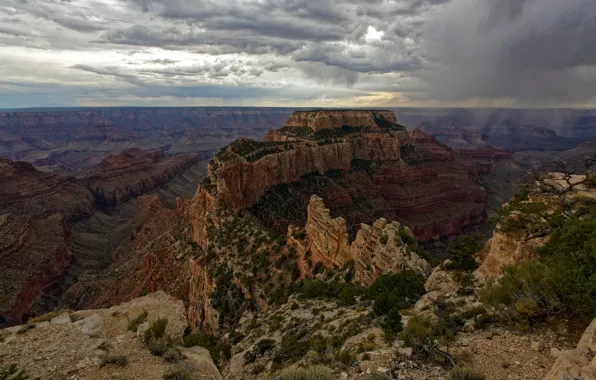 Картинка США, Grand Canyon, North Rim