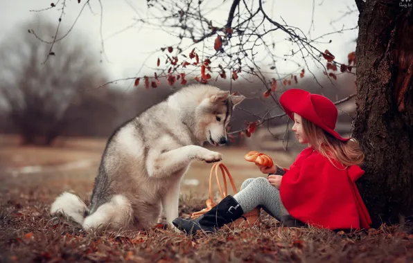 Картинка осень, природа, дерево, животное, корзина, собака, девочка, шляпка, ребёнок, накидка, пёс, булка, Анна Ипатьева