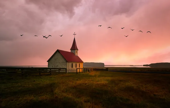 Картинка поле, птицы, церковь