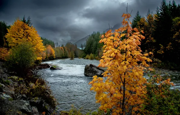 Картинка осень, деревья, река, берег