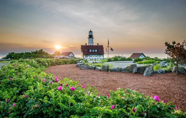 Картинка пейзаж, цветы, природа, река, камни, рассвет, маяк, дома, утро, Портленд, США