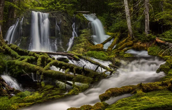 Картинка лес, река, мох, водопады, Washington State, Скамейния, Штат Вашингтон, Skamania County, Big Creek Falls