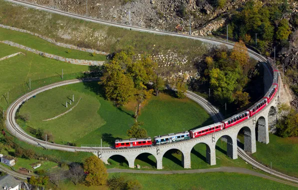Картинка Дерево, Швейцария, Поезд, Виадук, Спиральный виадук, Брусио, Спиральный виадук в Брусио
