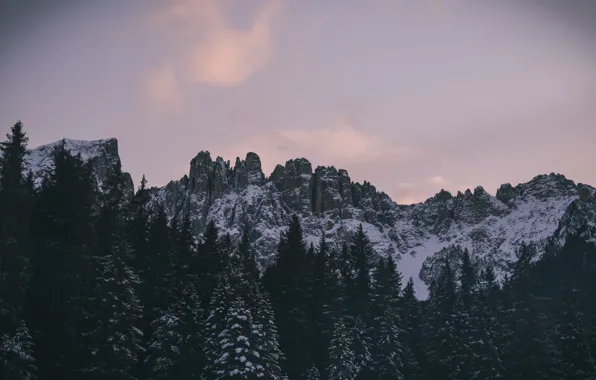 Картинка зима, небо, облака, снег, деревья, горы, природа, скалы