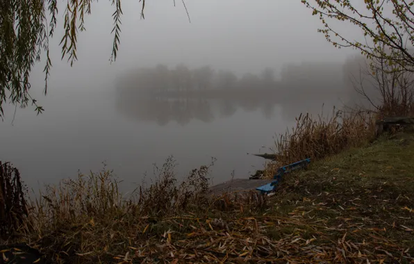 Картинка Туман, Осень, Река