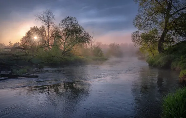 Картинка деревья, туман, река, рассвет