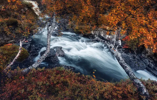 Картинка осень, лес, деревья, пейзаж, природа, река, камни, травы