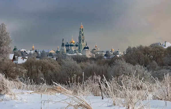 Картинка зима, снег, деревья, пейзаж, природа, монастырь, купола, Троице-Сергиева Лавра, Сергиев Посад