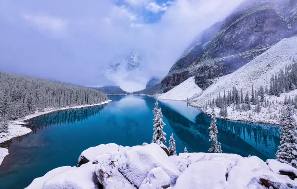 Картинка зима, лес, снег, горы, озеро, берег, ели, Канада, Альберта, водоем