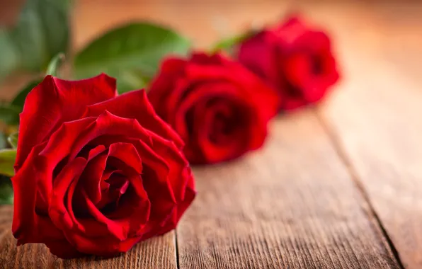 Картинка праздник, розы, букет, красные, день святого валентина