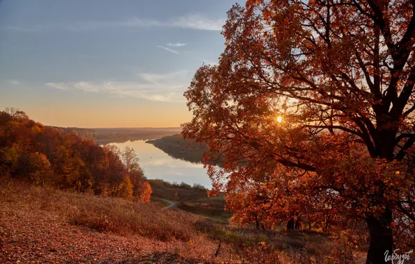 Картинка осень, солнце, пейзаж, закат, природа, река, леса, Ока, Тульская область, Илья Гарбузов