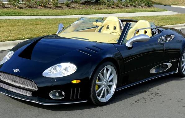 Картинка черный, 2006, родстер, Spyker, экстерьер, спортивный автомобиль, Spyker C8 Spyder