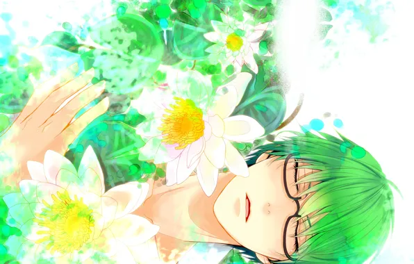 Картинка цветы, спит, парень, Баскетбол Куроко, Kuroko no Baske, Мидорима Шинтаро