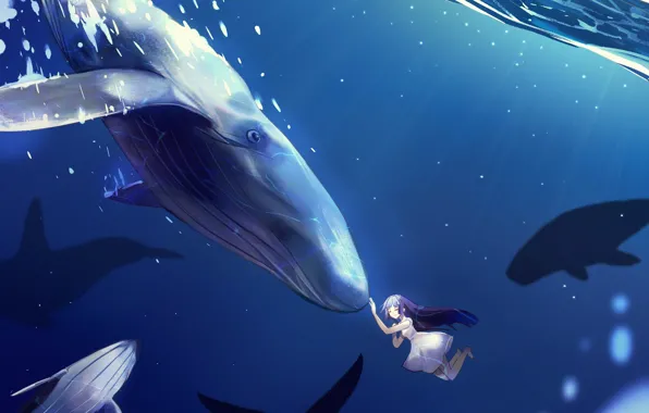Картинка девушка, киты, под водой