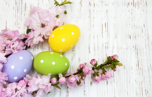 Картинка цветы, яйца, весна, colorful, Пасха, happy, wood, pink, blossom, flowers, spring, Easter, eggs, decoration
