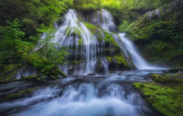 Картинка река, водопад, мох, каскад, Columbia River Gorge, Panther Creek Falls, Gifford Pinchot National Forest, Washington …