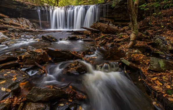 Картинка осень, ручей, камни, водопад, речка, Пенсильвания, Pennsylvania, Ricketts Glen State Park, Парк штата Рикетс Глен, …