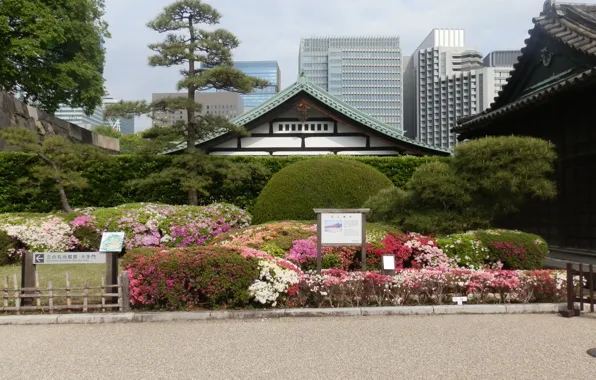 Картинка Япония, храм, Tokyo, Japan, сад камней